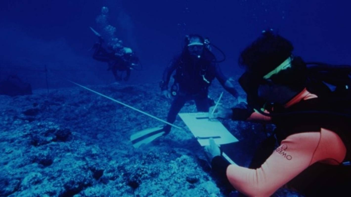 Điều đáng ngạc nhiên là các đồng tiền trong kho báu vẫn còn nguyên vẹn sau hàng trăm năm dưới lòng biển. Ước tính giá trị của kho báu lên tới 4,5 triệu USD, và đây là một khoản tài sản đáng kinh ngạc mà ít ai có thể tưởng tượng được.