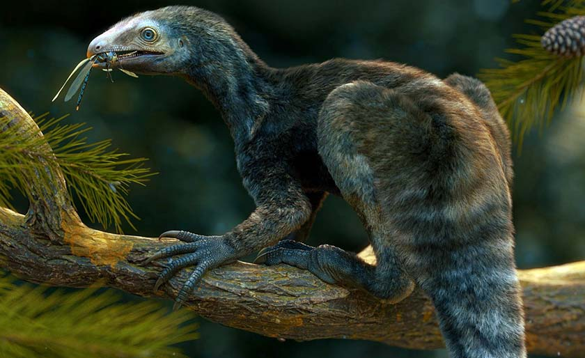 Phát hiện này cho thấy mức độ đa dạng của các loài tiền thân đã tạo nên thế giới quái vật sau này.