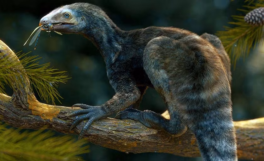 Phát hiện này cho thấy mức độ đa dạng của các loài tiền thân đã tạo nên thế giới quái vật sau này.