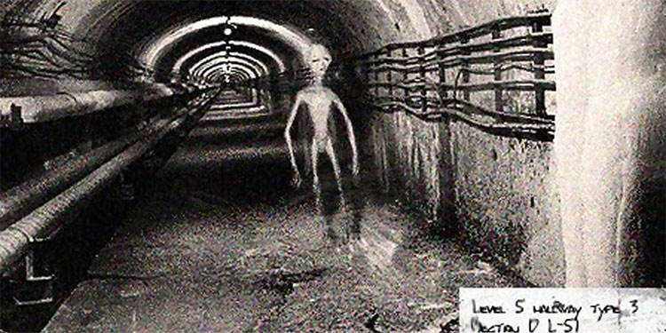 Hậu quả của trận chiến là 60 người Mỹ thiệt mạng và số lượng quân địch bị thương nặng. Sự việc này được giấu kín và không ai biết về nó.