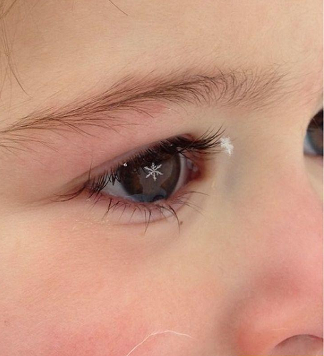 Bức ảnh đắt giá khi người bố chụp con gái, một bông tuyết hiện lên trong mắt của cô bé thật ảo diệu.