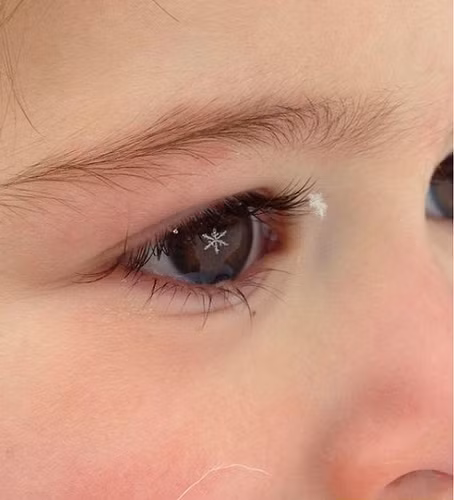 Bức ảnh đắt giá khi người bố chụp con gái, một bông tuyết hiện lên trong mắt của cô bé thật ảo diệu.