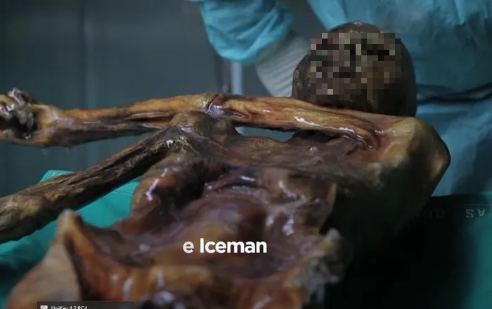 Tác giả nghiên cứu Albert Zink, người đứng đầu Viện Nghiên cứu Xác ướp tại Eurac Research ở Ý cho biết, Ötzi có hệ thống gene thừa kế từ người nông dân Thổ Nhĩ Kỳ hiện nay. Gen của Ötzi chủ yếu có nguồn gốc từ người nông dân Anatolia và ít sự kết hợp với các nhóm khác.