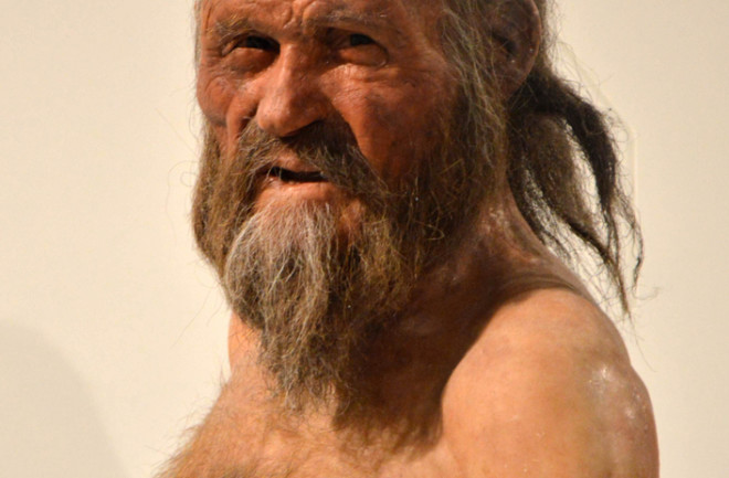 Điều này cho thấy, Ötzi có hình ảnh di truyền độc đáo và đại diện cho một phần của di truyền của những người sống tại khu vực châu Âu cổ đại.