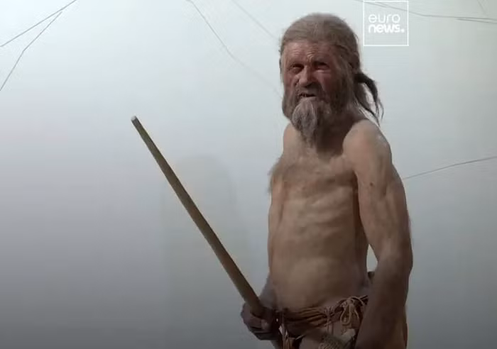 Trước đây, người ta tưởng tượng rằng Ötzi có tóc dài, rối và da trắng. Tuy nhiên, nghiên cứu DNA mới cho thấy, Ötzi có khả năng ít tóc hơn so với dự đoán trước đó, đôi mắt đen và làn da ngăm hơn nhiều.