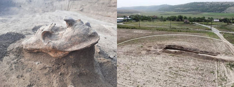 Cuộc nghiên cứu dẫn đầu bởi TS Bartlomiej Szymon Szmoniewski từ Ba Lan cho thấy, hộp sọ này không chôn cùng hài cốt người mà liên quan đến nghi lễ trộm mộ cổ xưa.