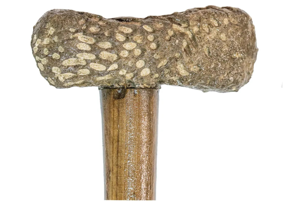 Historic England đã đầu tư gần 70.000 bảng Anh cho việc bảo tồn này. Các nhà bảo tồn đang xem xét liệu có nên đặt lại các phần quan tài cùng nhau hay không, vì quan tài này lớn và nặng.