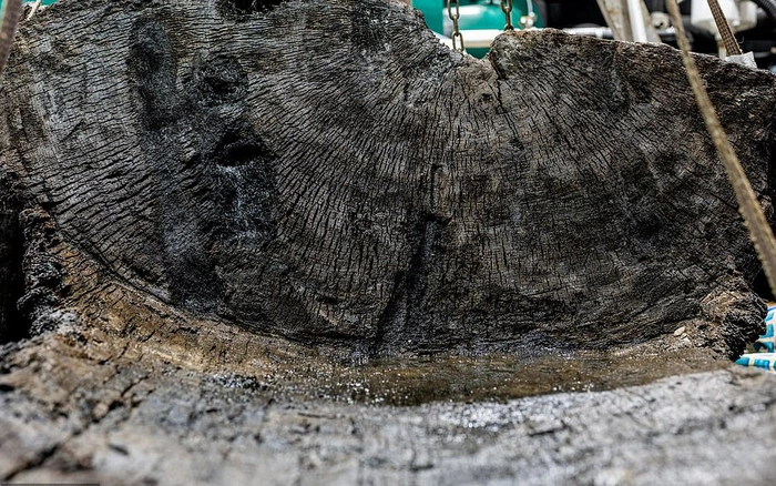 Chiếc rìu bên trong quan tài cũng là một điểm đáng chú ý. Nó được bảo quản tốt, hoàn hảo đến mức khiến các chuyên gia không thể tin vào mắt mình. Chiếc rìu vẫn còn đầu bằng đá và tay cầm bằng gỗ sau 4.000 năm. Các nhà khảo cổ cho rằng, chiếc rìu này là biểu tượng của uy quyền hơn là công cụ thực tế.