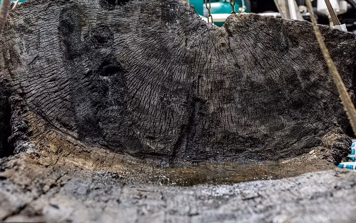 Chiếc rìu bên trong quan tài cũng là một điểm đáng chú ý. Nó được bảo quản tốt, hoàn hảo đến mức khiến các chuyên gia không thể tin vào mắt mình. Chiếc rìu vẫn còn đầu bằng đá và tay cầm bằng gỗ sau 4.000 năm. Các nhà khảo cổ cho rằng, chiếc rìu này là biểu tượng của uy quyền hơn là công cụ thực tế.