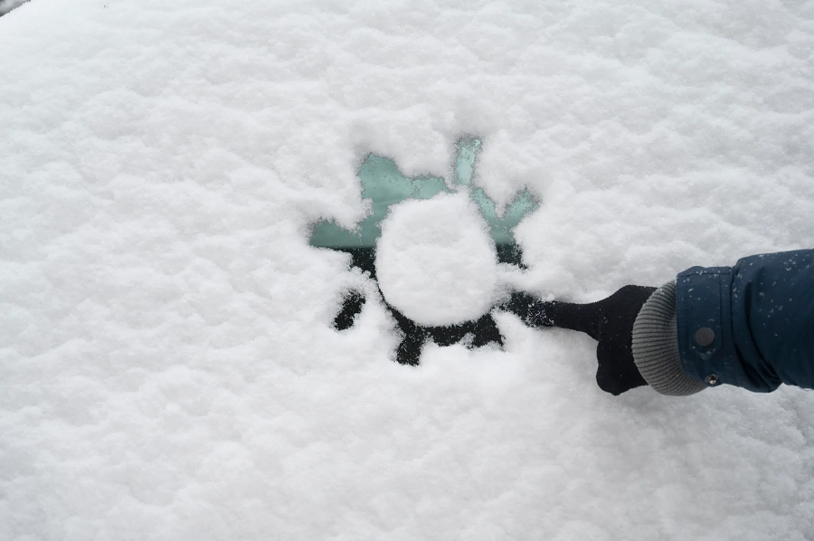 Năm 2014, một loại virus khổng lồ được gọi là Pithovirus sibericum đã được hồi sinh từ lớp băng vĩnh cửu 30.000 năm tuổi ở Siberia. Và năm 2016, một đợt bùng phát bệnh than ở phía Tây Siberia được cho là do sự tan băng nhanh chóng của các bào tử Bacillus anthracis trong lớp băng vĩnh cửu.