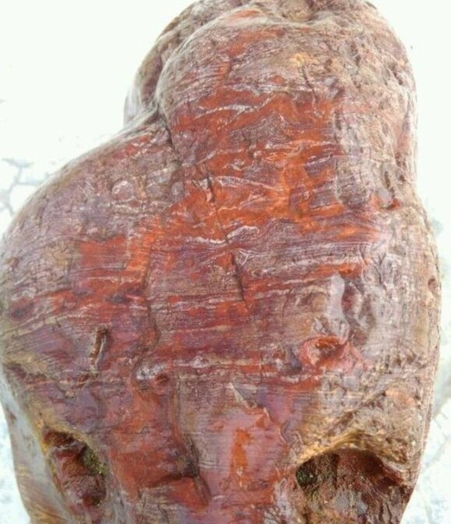 Tiểu Dương quyết định đăng tải hình ảnh của hòn đá lên mạng xã hội để nhờ mọi người xem xét hộ. Thật bất ngờ, những người xem hình ảnh đều cho rằng Tiểu Dương đã tìm thấy một báu vật.