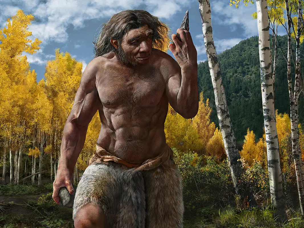 Đáng chú ý, cấu trúc xương trên đầu của "người Rồng" tương tự như của người Homo sapiens sơ khai, nhưng thể tích nội sọ của nó gần giống với người Neanderthal và người Homo sapiens hiện đại. Điều này cung cấp manh mối quan trọng cho sự tiến hóa của trí thông minh con người và mở ra nhiều câu hỏi về mối quan hệ giữa "người Rồng" và các loài người khác.