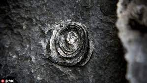 Tuy nhiên, vì đá và hoa liền mạch nên không thể hái mang về. Người dân tin rằng hoa đá hấp thụ tinh hoa của thiên nhiên và mang lại may mắn.