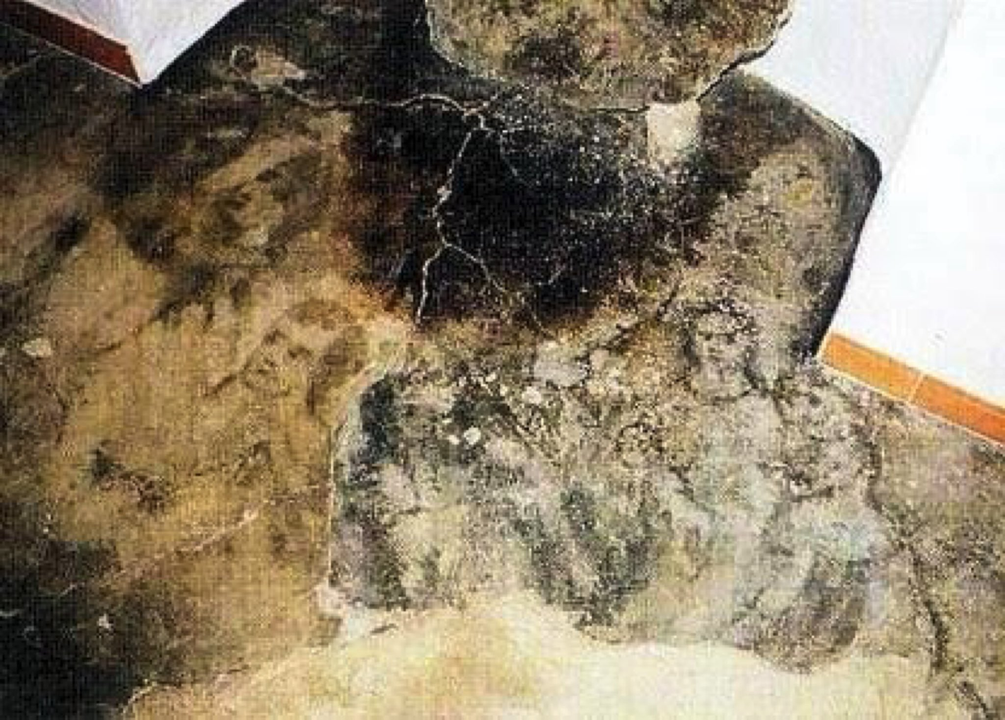 Gia đình đã phát hiện nhiều hài cốt người dưới sàn nhà, và các khuôn mặt này xuất hiện liên tục sau khi gia đình chôn hài cốt và làm mới nền nhà.