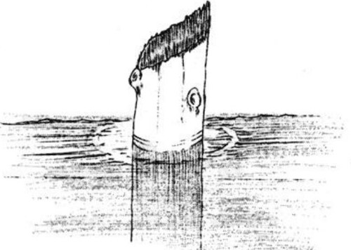 Ngay từ năm 1896, nhà thám hiểm địa chất Joseph Diller đã phát hiện một thân cây đặc biệt, thường được gọi là "Ông già của hồ nước". Điều độc đáo là thân cây này nổi thẳng đứng, cao hơn mặt nước khoảng 1,2m.