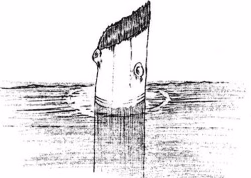 Ngay từ năm 1896, nhà thám hiểm địa chất Joseph Diller đã phát hiện một thân cây đặc biệt, thường được gọi là "Ông già của hồ nước". Điều độc đáo là thân cây này nổi thẳng đứng, cao hơn mặt nước khoảng 1,2m.