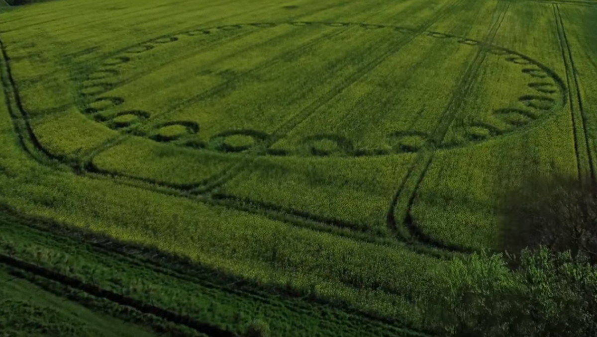 Một số người cho rằng, vòng tròn bí ẩn đó là dấu hiệu UFO. Người ngoài hành tinh có thể đã tạo ra nó chỉ sau một đêm.