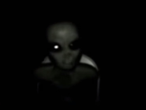 Sự việc xuất phát từ một đoạn video ghi lại cảnh một người ngoài hành tinh màu xám ngồi trên ghế và phát ra âm thanh kỳ lạ, trong khi hai binh sĩ nói chuyện với nó bằng tiếng Bồ Đào Nha. Video này lan truyền trên mạng và gây tranh cãi lớn. (Ảnh chụp từ clip)