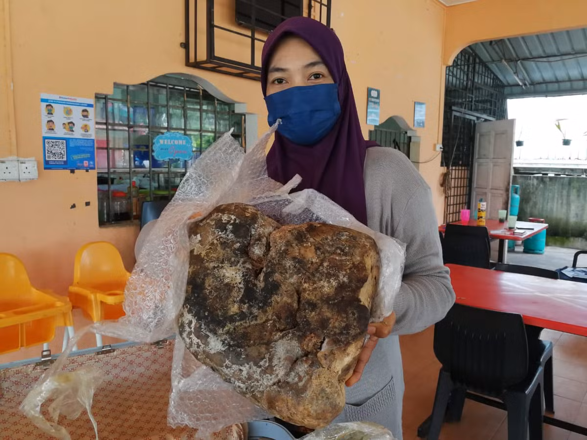 Aida đã tìm hiểu trên Internet và phát hiện rằng long diên hương có giá trị cao. Cô muốn hợp tác với các chuyên gia để kiểm tra chất lượng của mẫu vật này. Giá trị của long diên hương có thể lên đến 50.000 USD/kg.