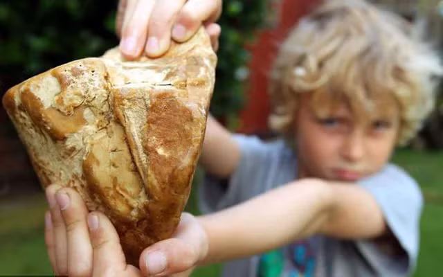 Sau khi tham khảo ý kiến của các chuyên gia và các nhà khoa học, gia đình quyết định báo cáo cục đá cho cơ quan quản lý địa phương. Qua việc kiểm tra kỹ càng, chất trong cục đá này được xác định là khối long diên hương - một loại hương liệu quý hiếm thường được tìm thấy trong hệ tiêu hóa của cá nhà táng.