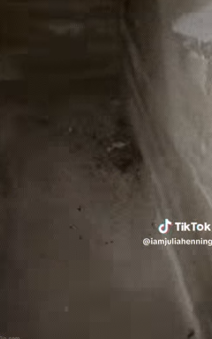 Phản ứng của cộng đồng mạng về việc khám phá này trái chiều. Một số người thích thú với không gian trữ đồ bí mật bên dưới nhà, còn người khác cảm thấy lo lắng và khuyên cô gái không nên xuống căn hầm nữa hoặc tốt hơn là nên chuyển đi.