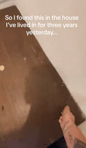 Một lần khi đang dọn dẹp, cô tình cờ phát hiện ra một cánh cửa kỳ lạ trên nền nhà. Khi mở nó, cô phát hiện ra một cái cầu thang hẹp dẫn xuống một căn hầm bí mật tối đen bên dưới. Tò mò về bí mật này, Julia quyết định ghi lại quá trình khám phá và chia sẻ lên TikTok.