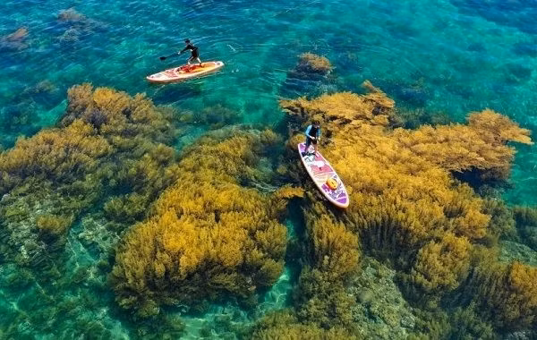 Kham pha “thien duong bien dao” Binh Dinh-Hinh-2