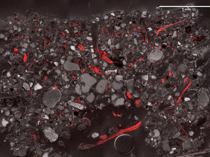 Lớp vỏ sinh học của Trái Đất có nhiều chức năng quan trọng, như lấy carbon và nitơ từ không khí, giữ chúng lại trong đất, tái chế chất dinh dưỡng và duy trì tính ổn định của đất để ngăn xói mòn.