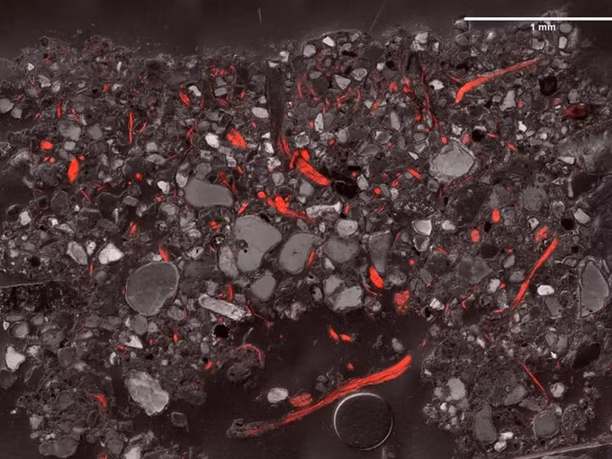 Lớp vỏ sinh học của Trái Đất có nhiều chức năng quan trọng, như lấy carbon và nitơ từ không khí, giữ chúng lại trong đất, tái chế chất dinh dưỡng và duy trì tính ổn định của đất để ngăn xói mòn.