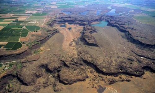 Đây là một tập hợp của các vi sinh vật như nấm, địa y, rêu, tảo xanh lam và các vi khuẩn, tạo thành một lớp bề mặt lâu năm trong đất. Hiện nó đang bao phủ khoảng 12% bề mặt Trái Đất.