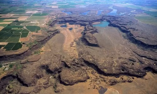 Đây là một tập hợp của các vi sinh vật như nấm, địa y, rêu, tảo xanh lam và các vi khuẩn, tạo thành một lớp bề mặt lâu năm trong đất. Hiện nó đang bao phủ khoảng 12% bề mặt Trái Đất.