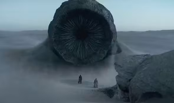 Bên cạnh việc lấy cảm hứng từ "Dune", tên "shurikeni" của loài giun biển cũng có nguồn gốc từ tiếng Nhật, với ý nghĩa là phi tiêu dạng ngôi sao mà những nhà ninja sử dụng. Các sợi lông của Shaihuludia shurikeni có hình dạng giống như lưỡi shuriken, sắc bén và đủ màu sắc. Điều này làm tăng thêm sự hấp dẫn và bí ẩn cho loài sinh vật này.