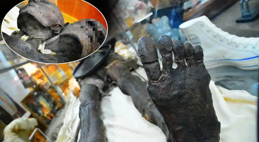 Xác ướp của Kap Dwa được trưng bày tại nhiều địa điểm khác nhau và hiện tại nó được sở hữu bởi một người đàn ông tên là Robert Gerber và vợ.