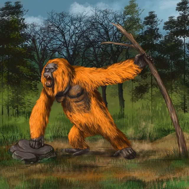 Gigantopithecus có thể là tổ tiên của đười ươi ngày nay và có thể ăn thực vật và trái cây.