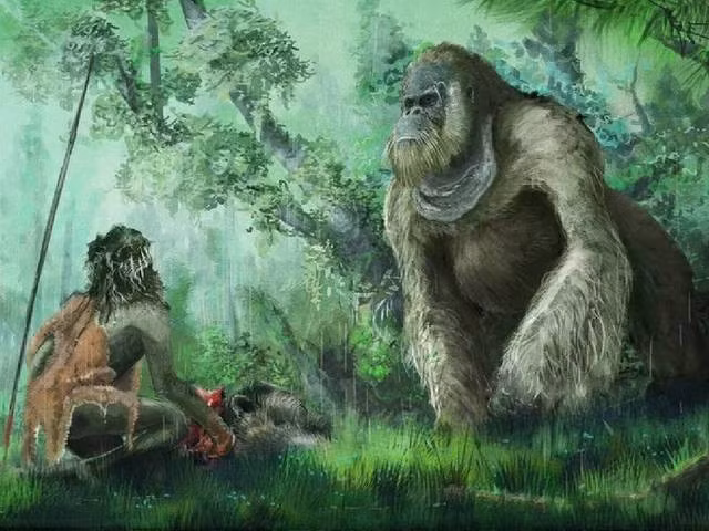 3. Gigantopithecus: Loài vượn khổng lồ này có thể cao tới 4m và nặng gần 300kg. Chúng sống ở Đông Nam Á trong khoảng 6-9 triệu năm trước khi tuyệt chủng cách đây khoảng 100.000 năm.