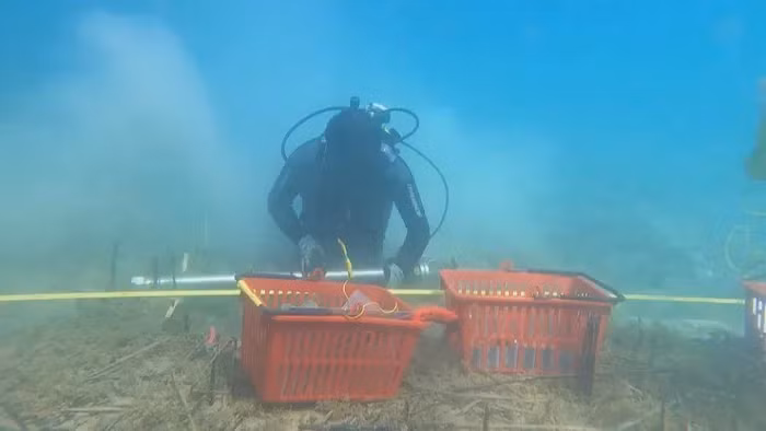 Điều đặc biệt ở ngôi làng này là sự tồn tại của một hệ thống pháo đài phòng thủ được xây dựng từ hàng nghìn tấm ván có gắn chông nhọn. Có khoảng 100.000 chiếc chông đã được cắm xuống đáy hồ gần làng.