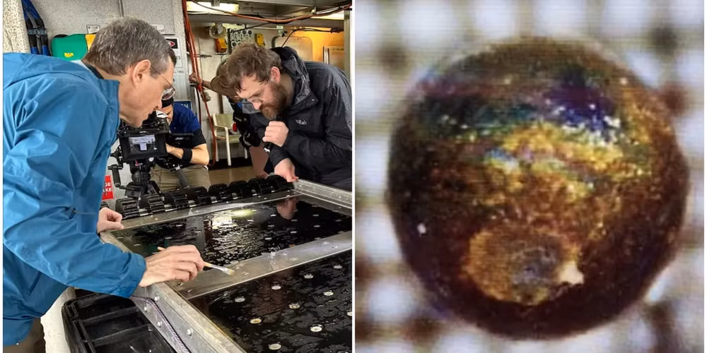 Dù sao đi nữa, việc Avi Loeb đưa ra dự đoán về sự có mặt của bằng chứng khoa học về sự sống ngoài Trái đất đã thúc đẩy sự quan tâm và tranh luận về chủ đề này trong cộng đồng khoa học và xã hội.