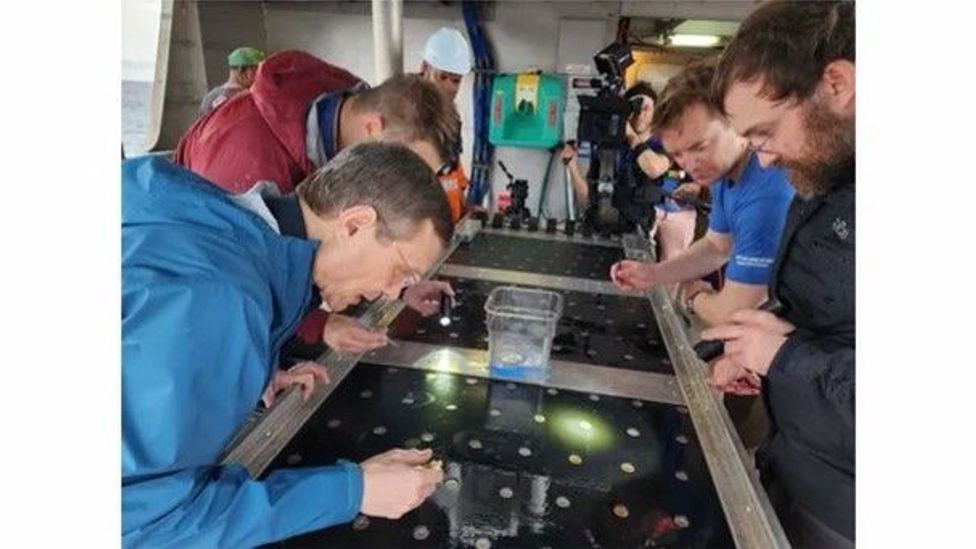 Với kích thước đường kính khoảng 90cm và nặng nửa tấn, IM1 có trọng lượng tương tự như tàu thăm dò không gian Voyager 1 và Voyager 2, hiện đang thám hiểm vũ trụ.