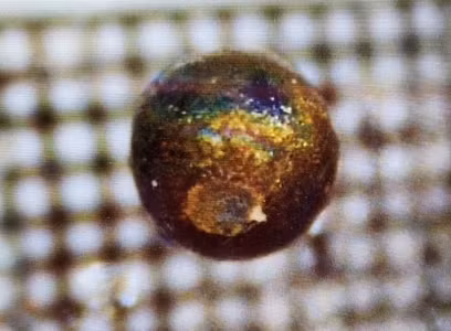 Theo các báo cáo, việc nghiên cứu các mẫu thiên thạch bí ẩn có kích thước bằng viên bi đã được thực hiện tại bốn phòng thí nghiệm trên toàn thế giới.