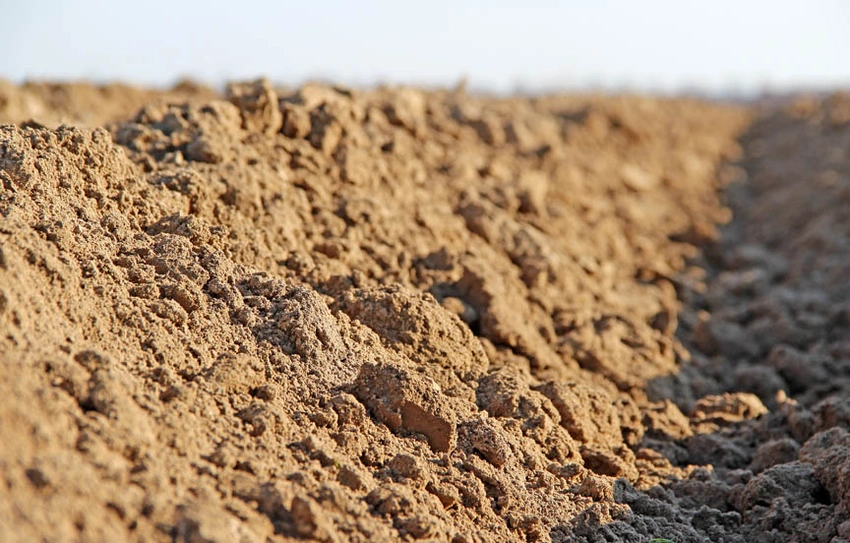 Điều đáng chú ý là hình ảnh của các vị vua này đã được in trên các đồng tiền. Bà Weingast đã nhận xét rằng hình ảnh vị vua trên những đồng tiền này rất giống với vua Henry VI, trong khi vua Henry V có khuôn mặt "mỏng" hơn và hay cau mày.