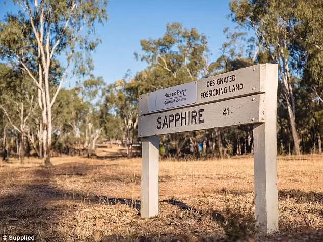 Viên đá Sapphire này nặng 141 carat và vào thời điểm đó, năm 2018, đã được ước tính trị giá khoảng 30.000 USD (gần 700 triệu đồng).