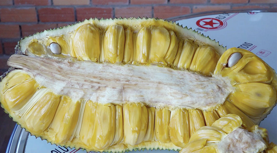 Mit thom lung mui sau rieng, mit 'khung' 40 kg/qua o Viet Nam-Hinh-2