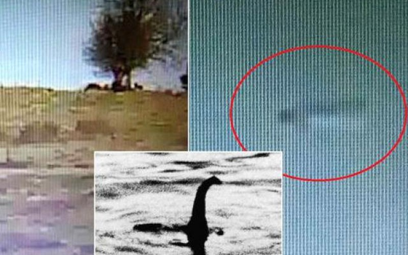 Mục tiêu của cuộc truy lùng là tìm hiểu thêm về Quái vật hồ Loch Ness, còn gọi là Nessie. Có nhiều lần nhìn thấy Nessie trong lịch sử, nhưng không có bằng chứng đáng tin cậy về sự tồn tại của nó.