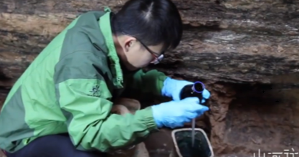 Không chỉ mang lại thông tin mới về lịch sử sản xuất rượu trái cây, phát hiện này còn cung cấp thêm tư liệu để nghiên cứu về hệ thống chính trị, xã hội và văn hóa khu vực Sơn Tây thời đại xa xưa. (Ảnh: Xinhuanet)