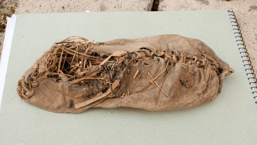 Một ví dụ điển hình là đôi giày mà sinh viên Diana Zandaryan đã phát hiện trong hang động cổ Armenia. Chiếc giày này được làm bằng da thú và được bảo quản tốt nhờ điều kiện khô lạnh của hang động.