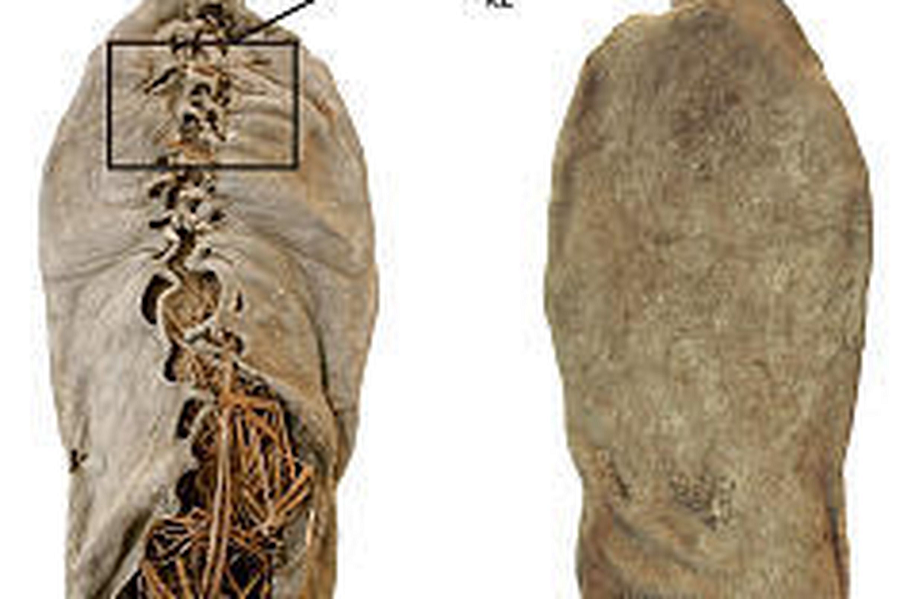 Chiếc giày tiết lộ về văn hóa người Armenia thời tiền sử, trong thời kỳ họ gắn bó với nông nghiệp. Trong thời gian này, nền văn hóa Kurgan cũng bắt đầu di cư và để lại các gò đất lớn gọi là kurgans.