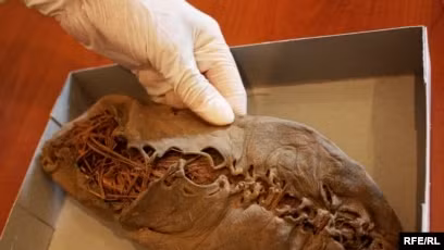 Chiếc giày này niên đại khoảng 3.500 năm TCN và được cho là thuộc về một phụ nữ, có thể liên quan đến các nghi lễ hoặc tôn giáo.