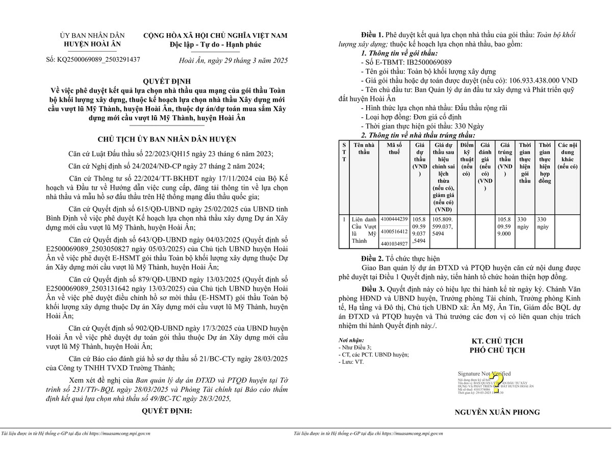 Binh Dinh: Nang luc nha thau trung goi xay dung cau vuot lu hon 100 ty