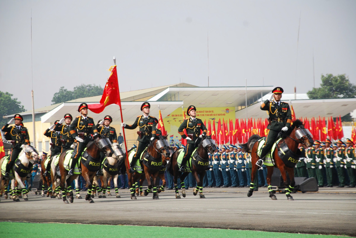 Khối Nam Cơ động Kỵ binh.