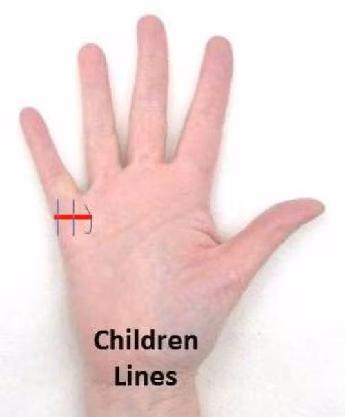 Theo thuật tướng số phương Đông, đường chỉ tay con cái là đường thẳng đứng nằm trên mé bên gò của ngón tay út (xuất phát từ đường hôn nhân kéo thẳng lên phía trên).